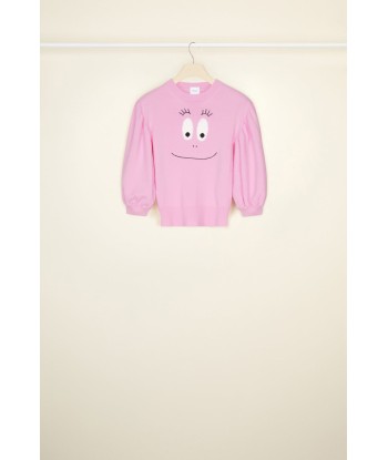 Pull court Barbapapa les ctes